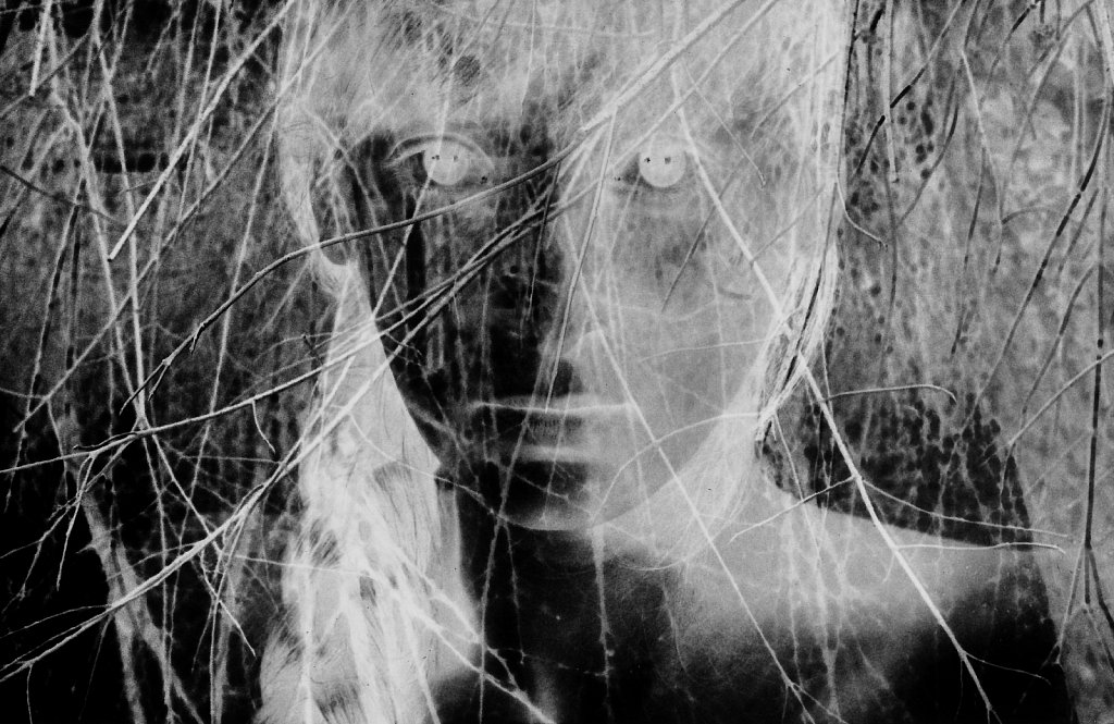 La Nuit inverse