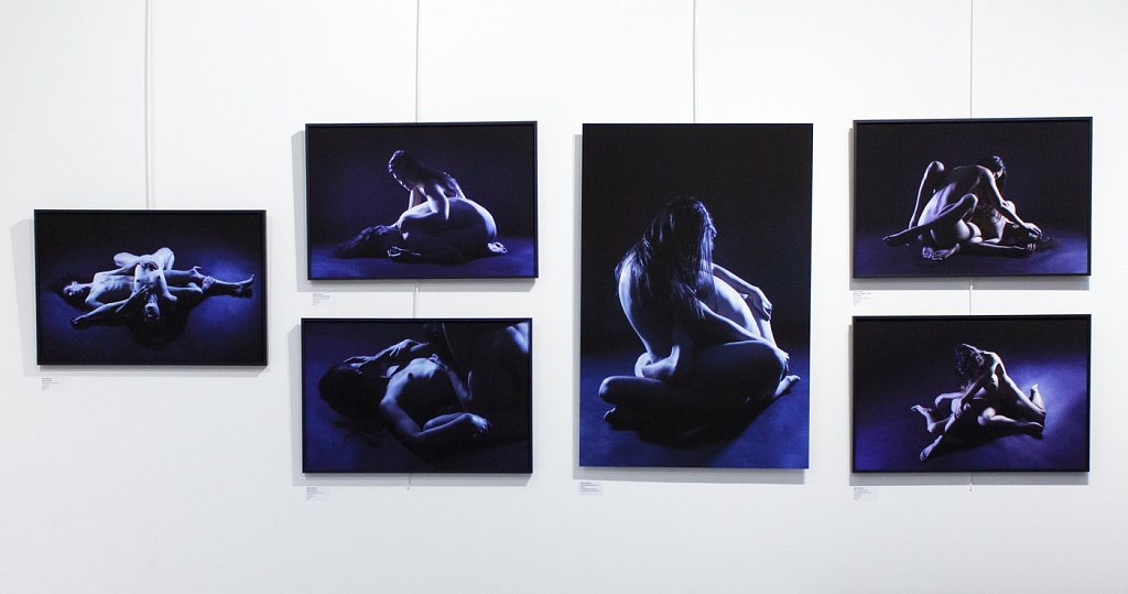 Vue d'exposition "La caresse et le meurtre hésitent dans leurs mains", Février 2019.