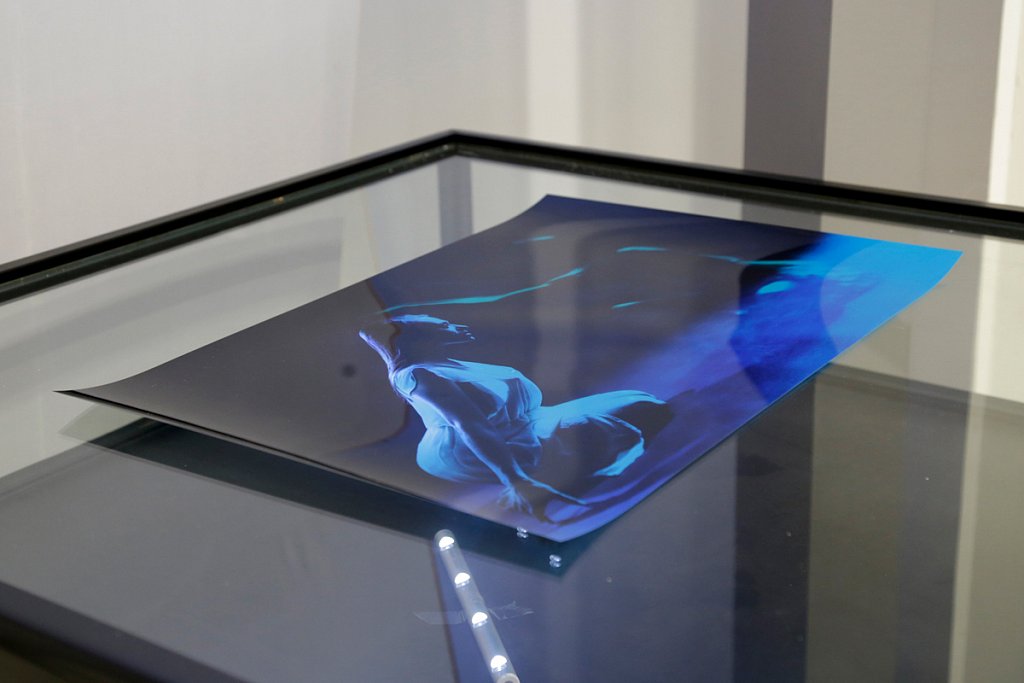 Metamorphosis, Galerie du Hall de l’Université Paris 8, Saint-Denis.