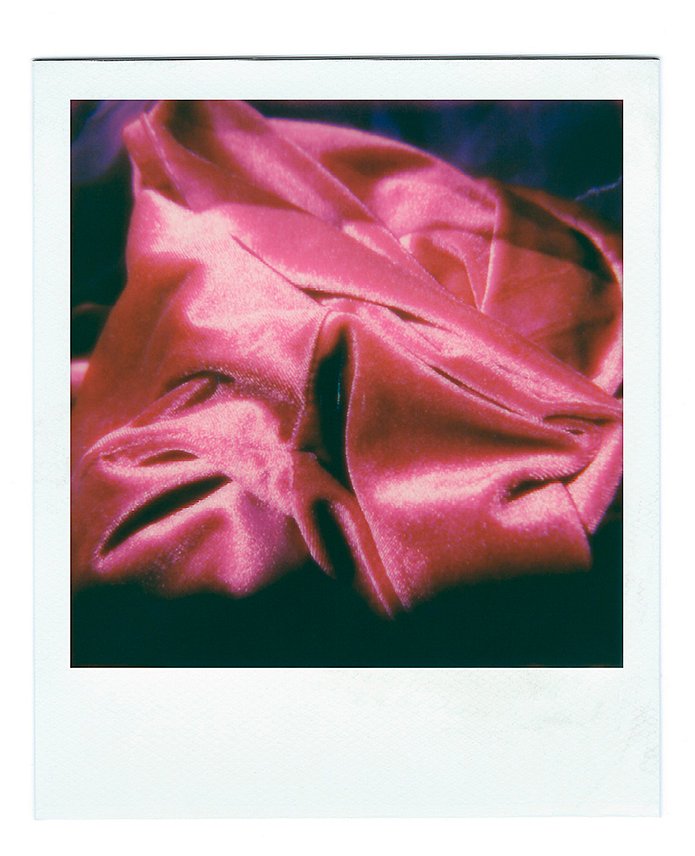 Rose intérieure 7